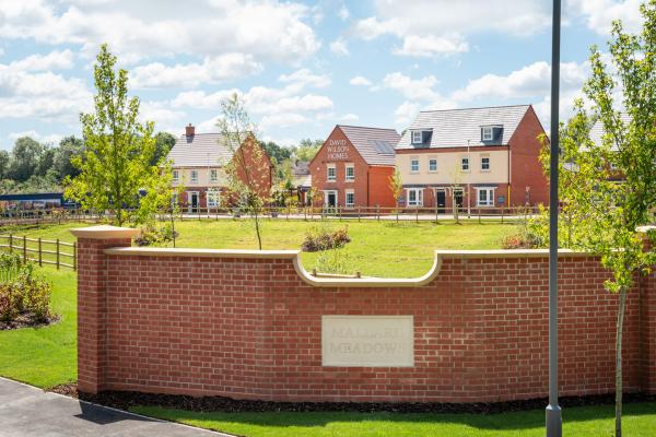 Mallard Meadows at Winslow