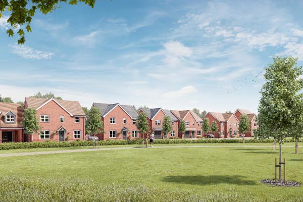 Newlands Meadows