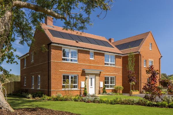 Hawthorn Grove