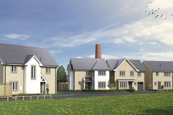 Willow Bank