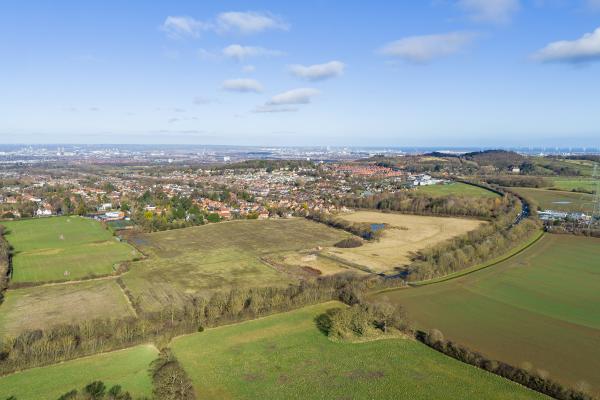 Roseberry View