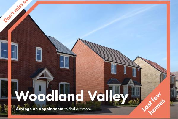 Woodland Valley