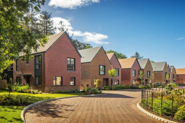 Brooklands Grove