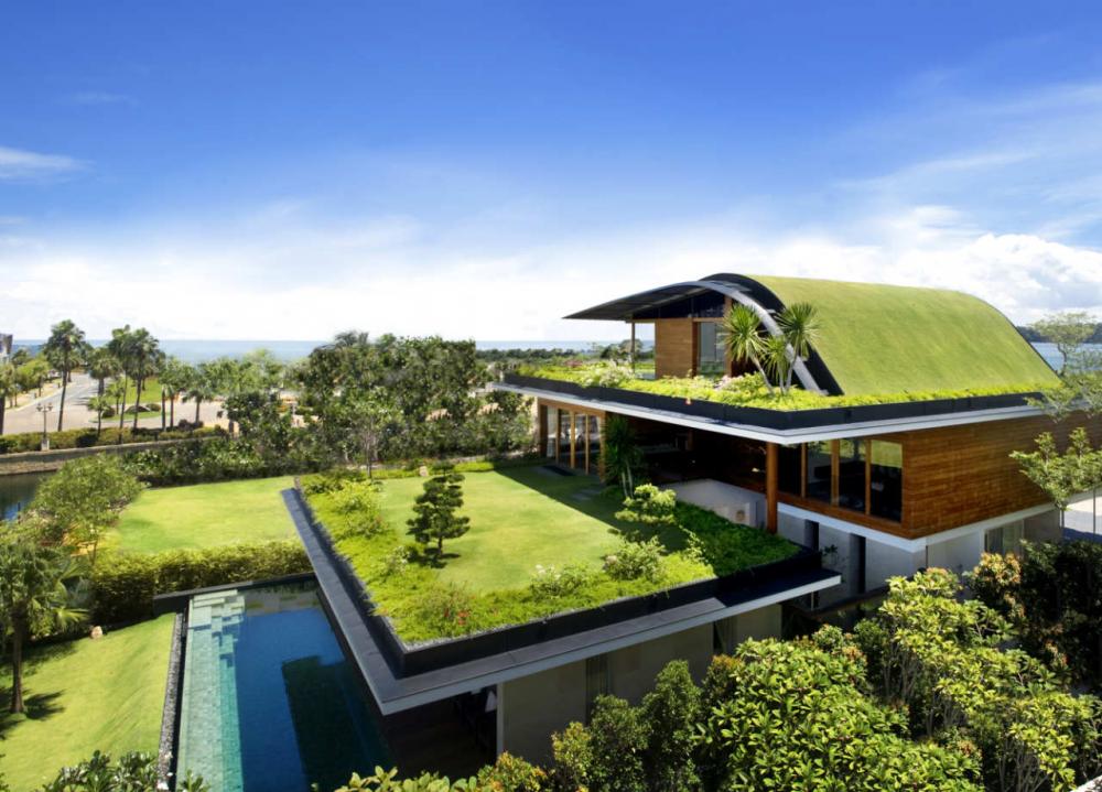 Eco-homes Can Clean Toxic Air, and Save You £££'s