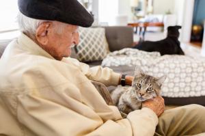 What You Need To Know About Pets In Retirement Living