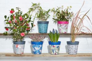 How To Create A Garden In The Smallest Of Spaces