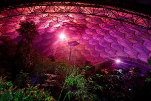 The Best Christmas Light Displays