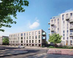 Reap the Rewards of Regeneration at Harvard Gardens