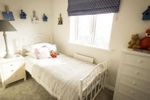 Housebuilder unveils latest designs at Picket Twenty