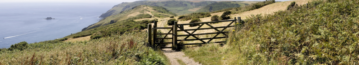 new homes in Devon