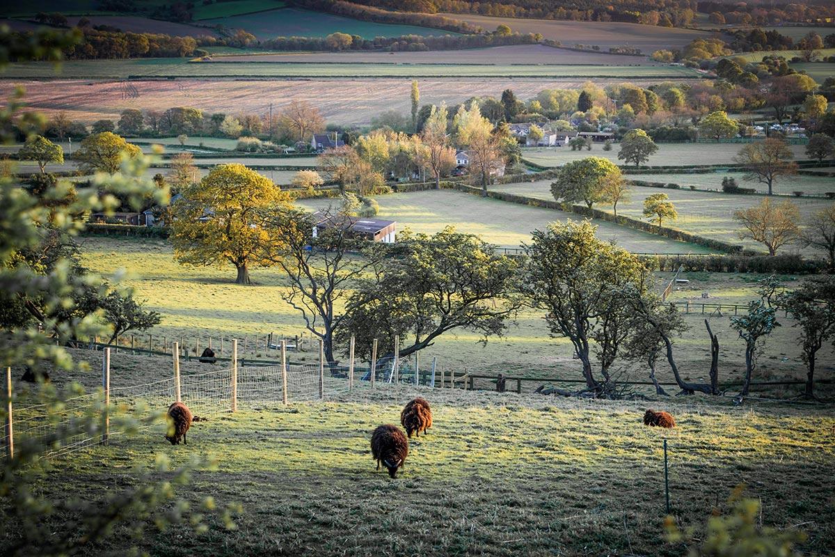 new homes in North Yorkshire