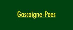 Gascoigne - Pees