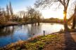 alternative image for Dunstall Park