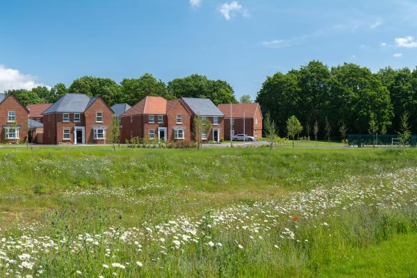 Ersham Park