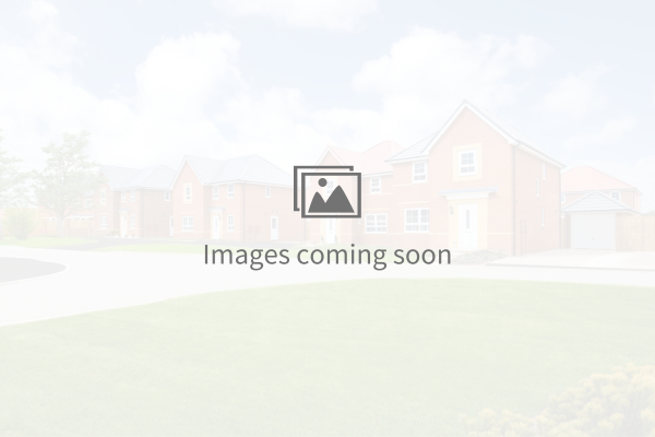 Image of a new build house on the Cavendish View development in Thurston.