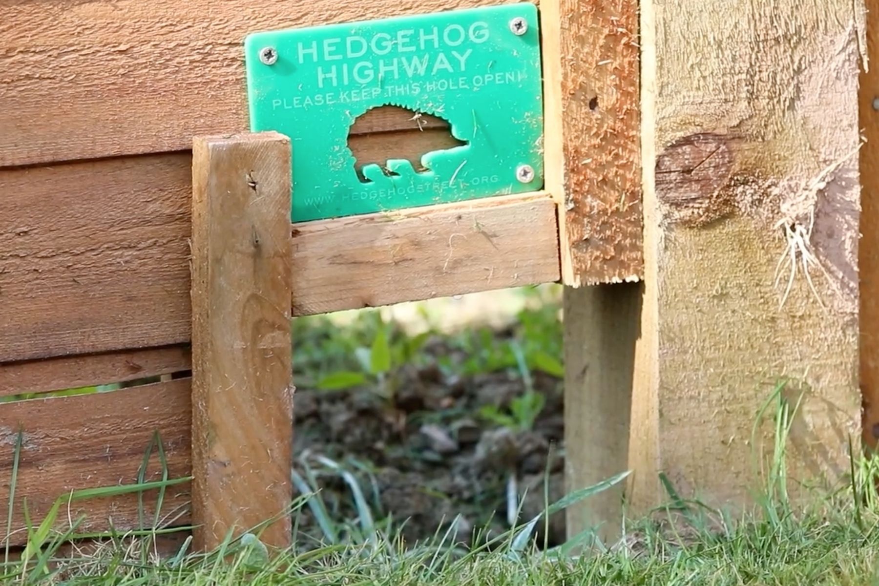Hedgehog highways have been installed across Vistory developments in England
