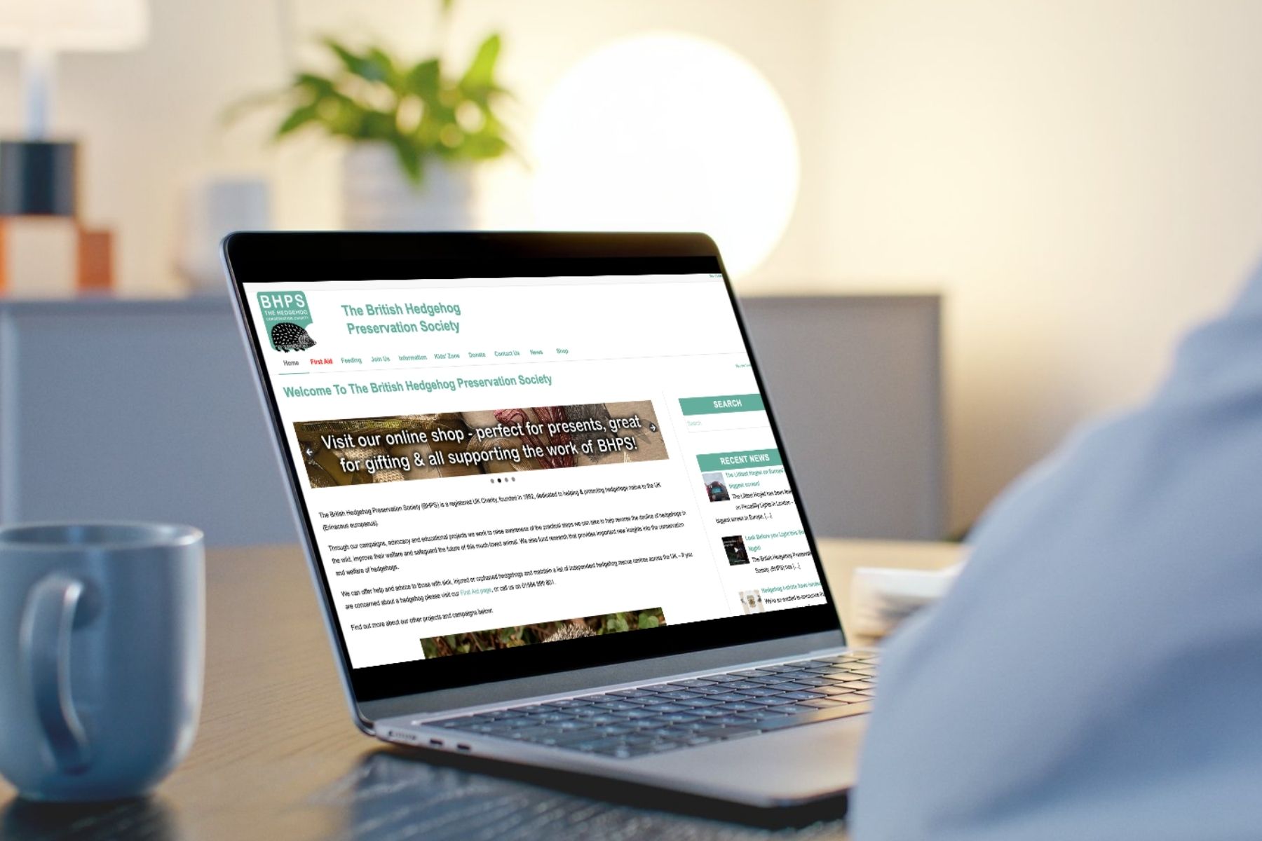 Discover lots more on the British Hedgehog Preservation Society website