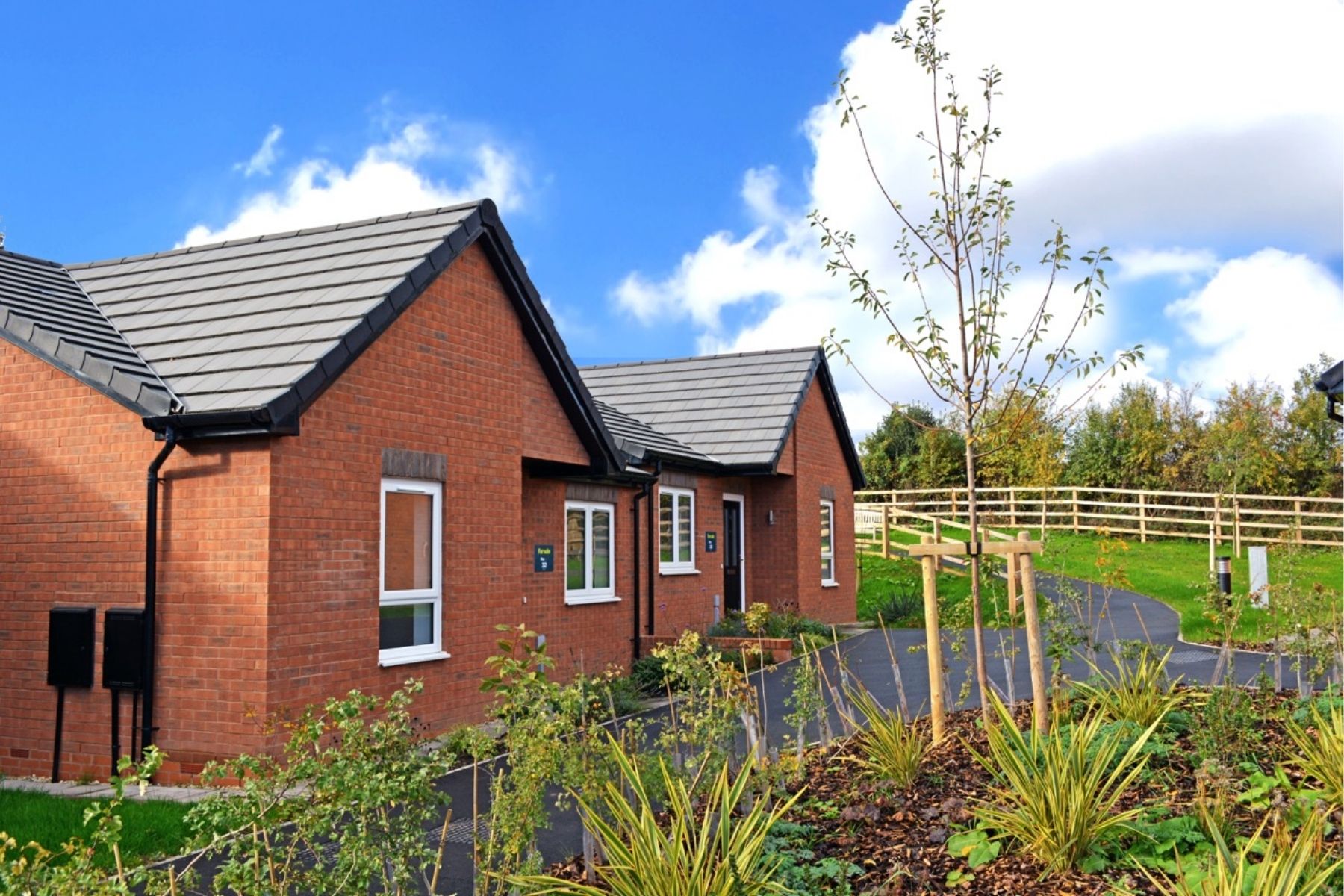 Street scene of Shared Ownership bungalows at The Maples