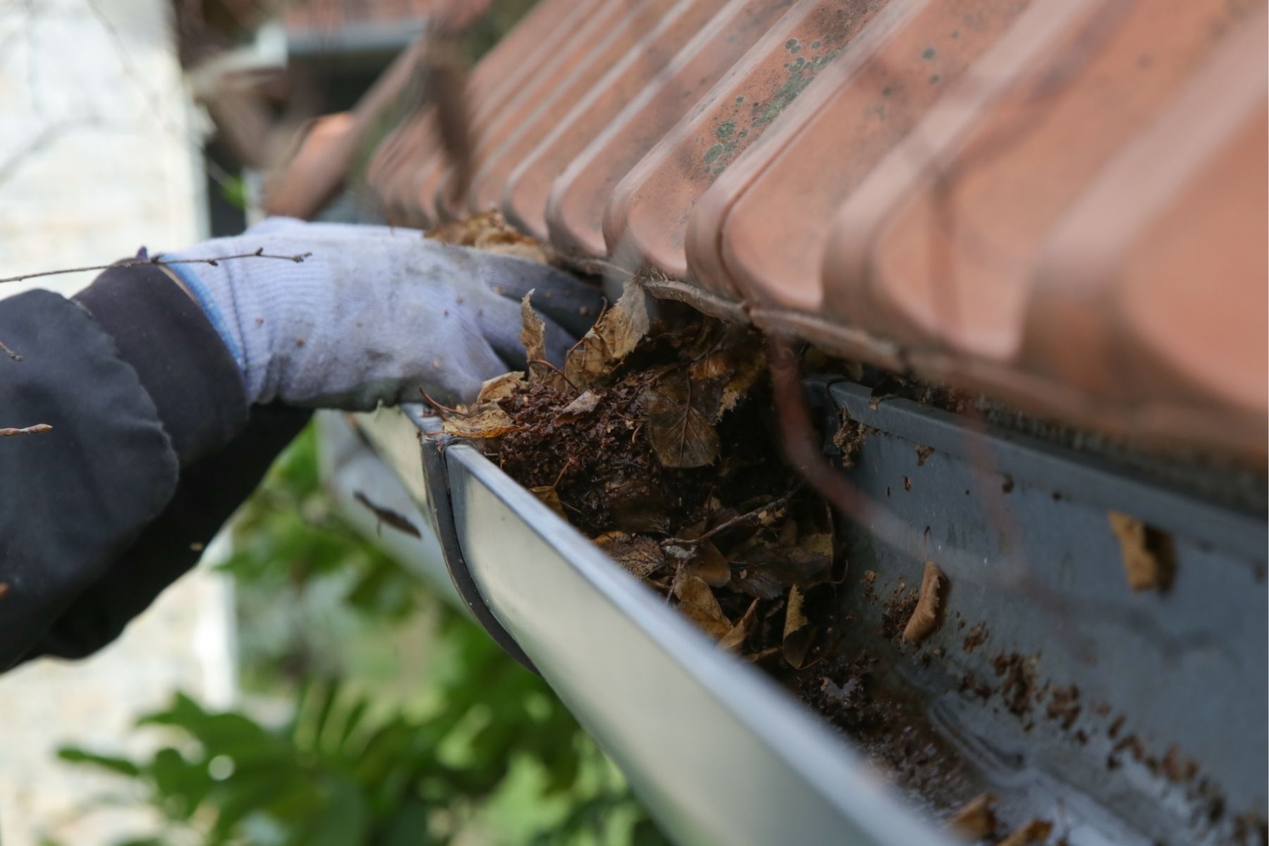 Important to keep your gutters clear of leaves
