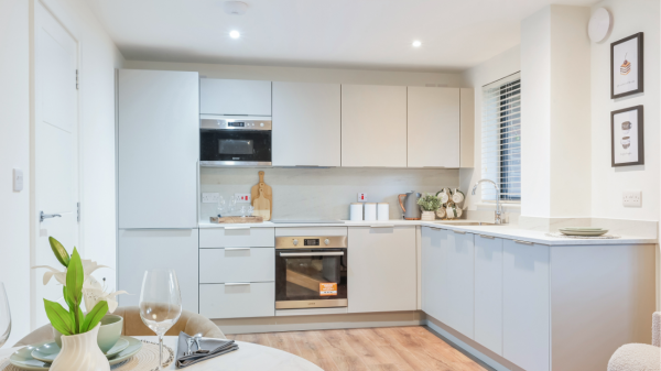 Development Video Tour